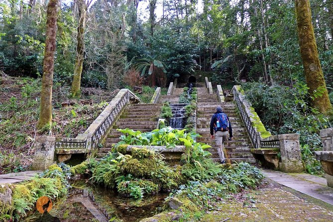 An adventure through the Forest and Palace of Bussaco - Coimbra - Key points to know before booking
