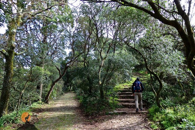 An adventure through the Forest and Palace of Bussaco - Coimbra - Entering the Mata Nacional do Bucaco