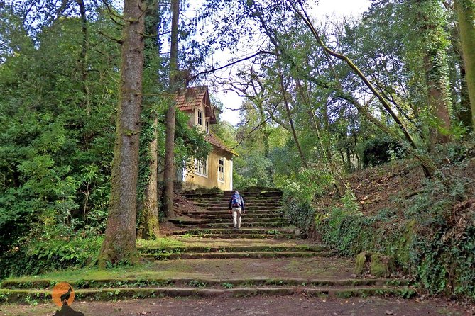 An adventure through the Forest and Palace of Bussaco - Coimbra - What Sérgio Forte adds to the visit