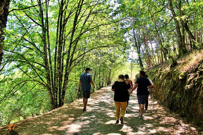 An adventure through the Schist Villages of Lousã - Leaving Coimbra for the Lousã mountains