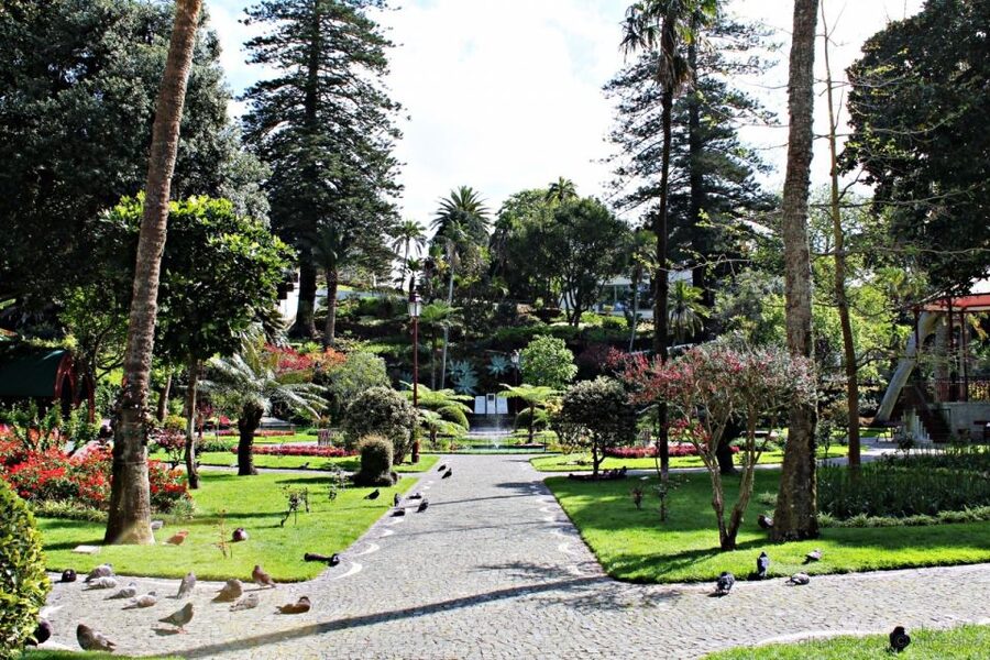 Angra do Heroísmo: Walking Tour with Local Pastry and Coffee - Teatro Angrense and Angra’s cultural side