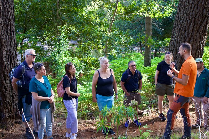 Arieiro Peak, Santana & Ponta São Lourenço in Open Roof 4X4 Tour - The Referta levada walk through working farmland
