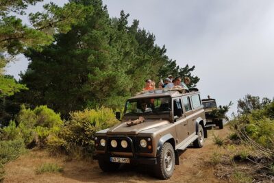 Arieiro Peak, Santo Serra, Cristo Rei in Open Roof 4×4 Experience
