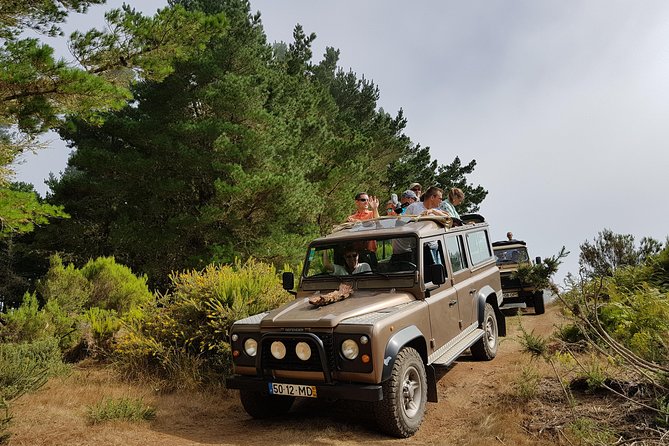 Arieiro Peak, Santo Serra, Cristo Rei in Open Roof 4x4 Experience - Largo do Miranda gives you a first look at Funchal