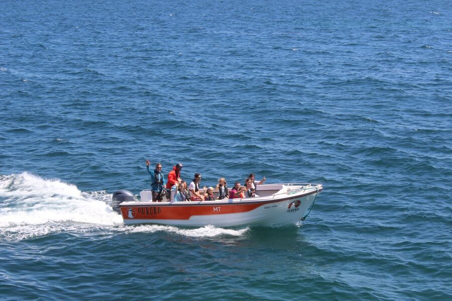Armação de Pêra: Guided Boat Tour of Benagil's 15 Best Caves - Benagil Cave, the Main Attraction