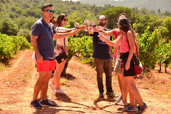 Arrabida and Sesimbra Small-Group Day Trip from Lisbon with Wine Tasting - Quinta do Alcube in the park