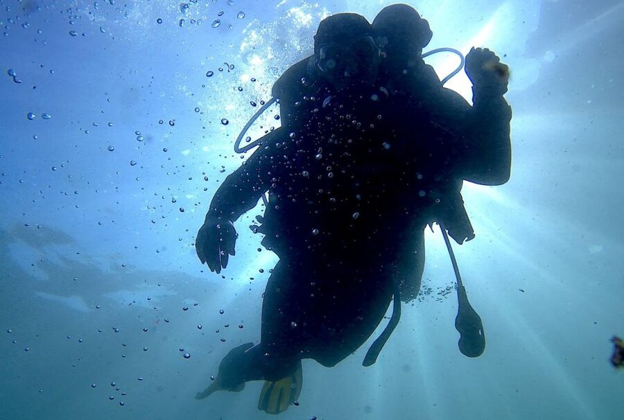 Arrábida - Sesimbra: Eco-Friendly Beginner's Scuba Diving - Key points at a glance