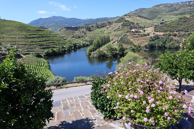 Authentic Small Group Douro Wine Tour with Lunch & River Cruise - Weather rarely cancels the main parts of the day