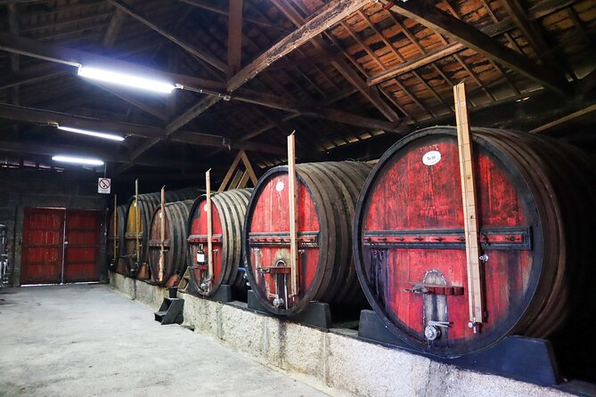 Authentic Small Group Douro Wine Tour with Lunch & River Cruise - Who will get the most from this tour