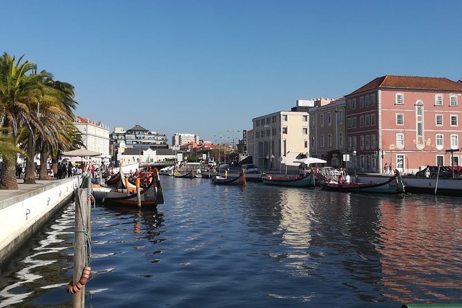 Aveiro and Coimbra Small Group Tour with Moliceiro Boat Cruise - Joanina Library, Manga Garden, and the church