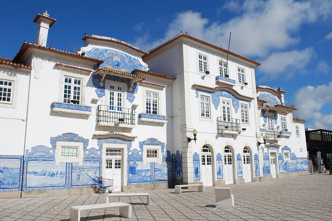 Aveiro and Costa Nova Half Day Tour from Porto with Boat Ride - Transport, meeting points, and group size