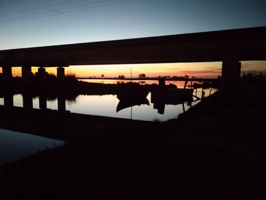 Aveiro: Boat Cruise and City Walking Tour with Sweet Tasting - The sacred center and a taste of ovos moles