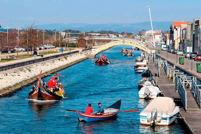Aveiro Canal Cruise in Traditional Moliceiro Boat - Starting at Jardim do Rossio