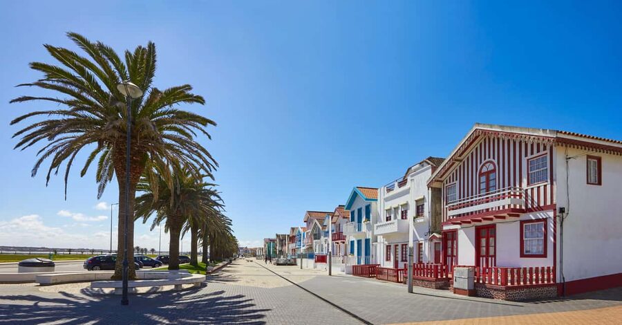 Aveiro: Half-Day Tour from Porto with Cruise - Who should book this Aveiro outing