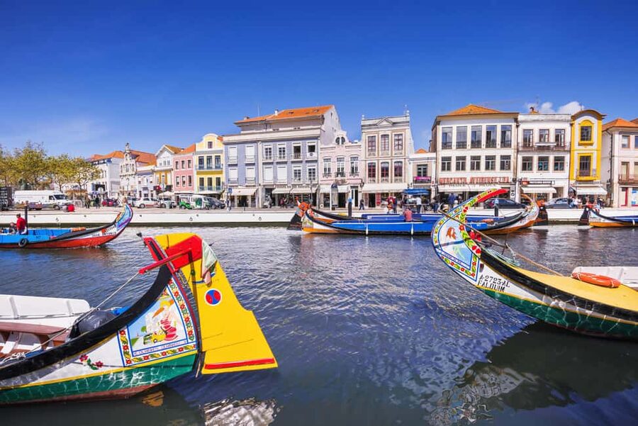 Aveiro: Half-Day Tour from Porto with Cruise - What the 45-minute Moliceiro cruise adds