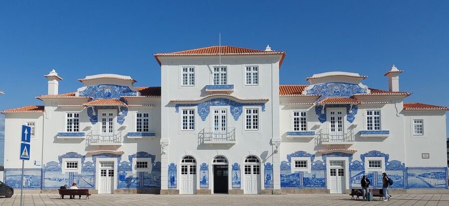 Aveiro: Stories, Canals, and Azulejos Guided Walking Tour - Toward the saltpans