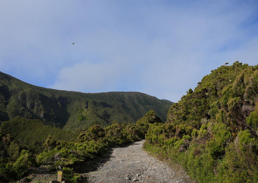 Azores: São Miguel and Lagoa do Fogo Hiking Trip - Key points to know before you book