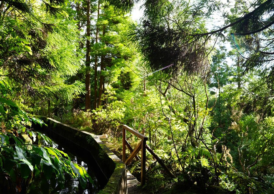 Azores: São Miguel and Lagoa do Fogo Hiking Trip - The steep return to the south coast