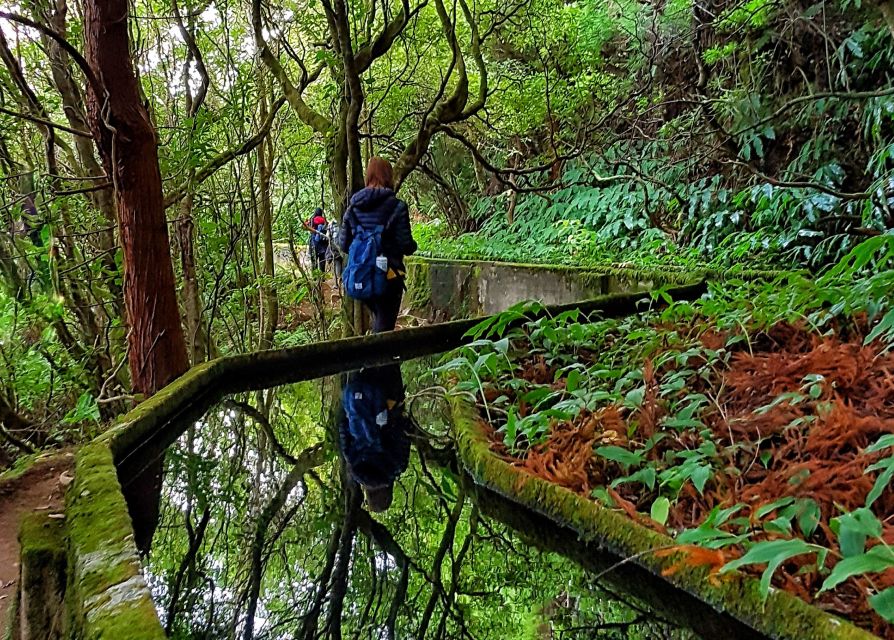 Azores: São Miguel and Lagoa do Fogo Hiking Trip - Flexible stops after the hike