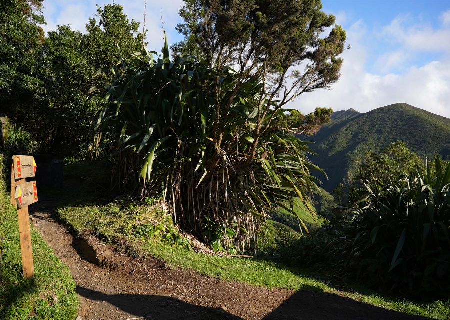 Azores: São Miguel and Lagoa do Fogo Hiking Trip - What the $76 price includes