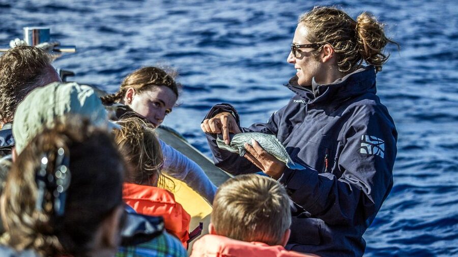 Azores Whale Watching & Islet Boat Tour - Who will enjoy this tour most