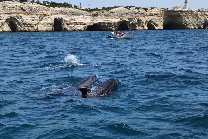 Benagil Caves Tour from Portimao - Carvoeiro and Vale de Centeanes from the sea