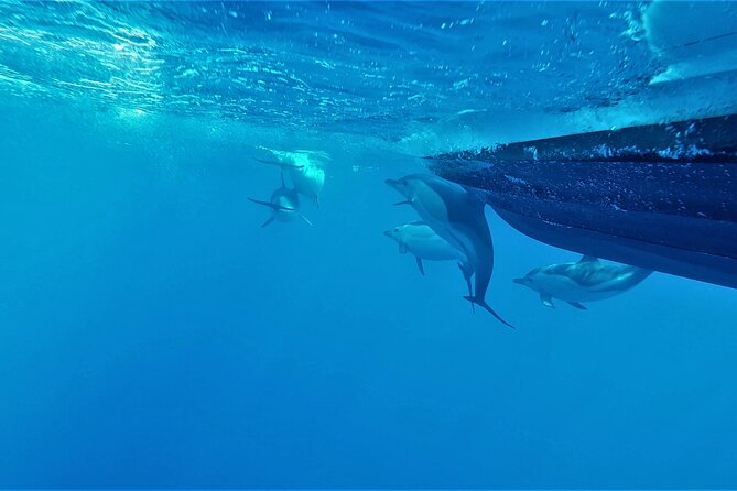 Benagil Caves Visit with Dolphins Watching from Albufeira - The Alfanzina lighthouse and the large cave below it