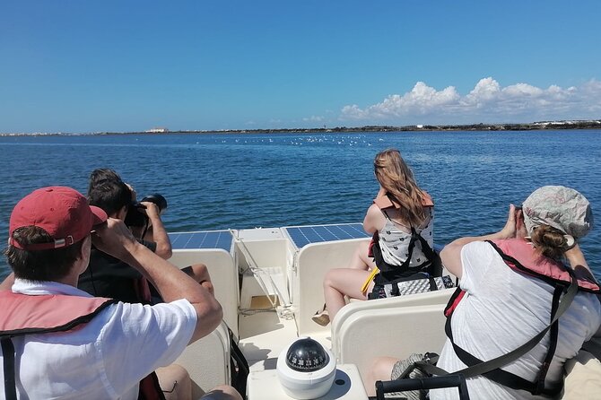 Birdwatching in Ria Formosa - Eco Boat Tour from Faro - Meeting in Faro and getting ready to go