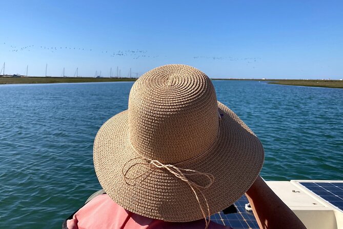 Birdwatching in Ria Formosa - Eco Boat Tour from Faro - Should you book the Ria Formosa eco boat tour?