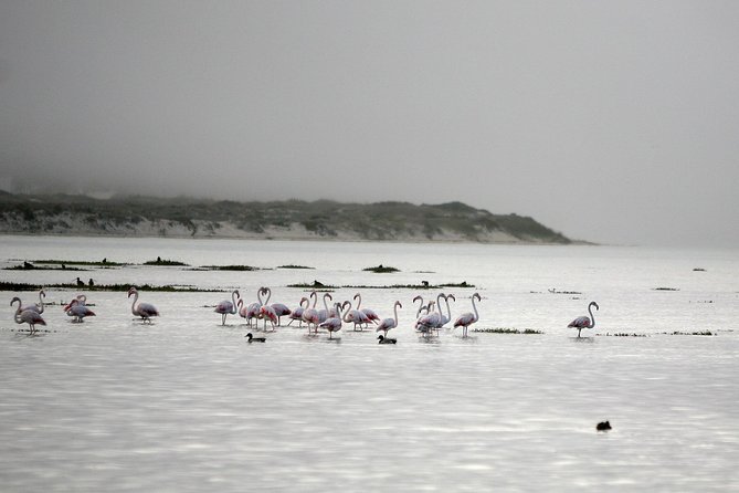 Boat tours in the Óbidos Lagoon - A small boat with more room for conversation