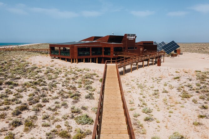 Boat trip from Faro to Ilha Deserta by Ferry - Service that helps the trip run smoothly