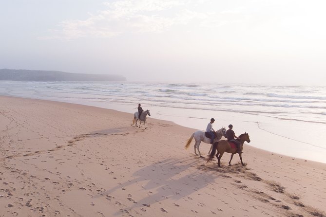 Bordeira Beach - Horse Riding Tour at Sunset - From Carrapateira’s pine trees to the first trail