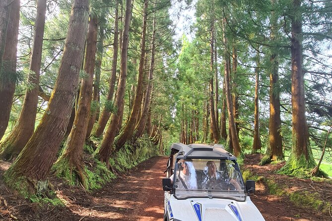 BUGGY TOUR - West / Center of the island (off-road) - A possible cheese stop and local flavor