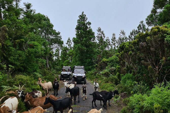 BUGGY TOUR - West / Center of the island (off-road) - What to wear and pack for the ride