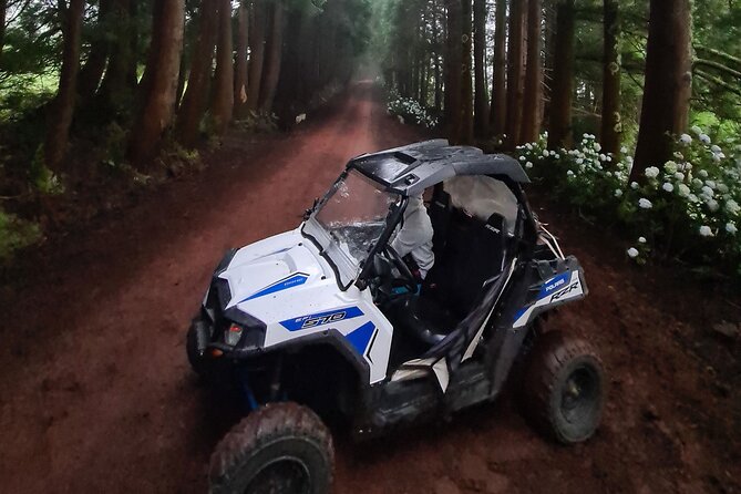 BUGGY TOUR - West / Center of the island (off-road) - Forest tracks, red dust, and pasture country