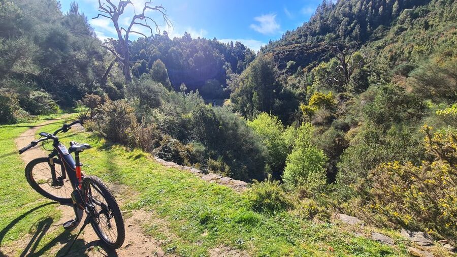 Camacha: Levada Trail e-Bike Guided Tour - Who Will Enjoy This Tour Most?