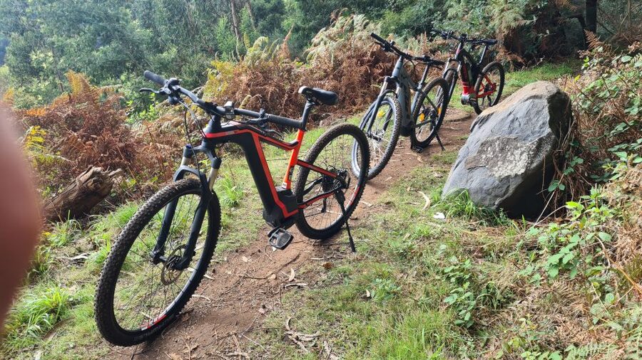 Camacha: Levada Trail e-Bike Guided Tour - What the 3.5-Hour Route Looks Like
