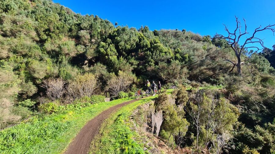 Camacha: Levada Trail e-Bike Guided Tour - Rain, Mud, and the Right Clothing