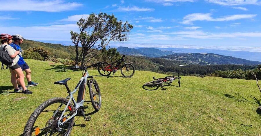 Camacha: Levada Trail e-Bike Guided Tour - Through Fields, Eucalyptus, and Laurel Forest