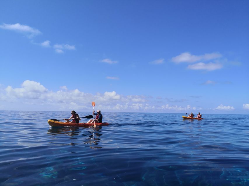 Caniço, Madeira: Marine Reserve Kayak & Snorkelling Tour - Practical booking advice for Caniço