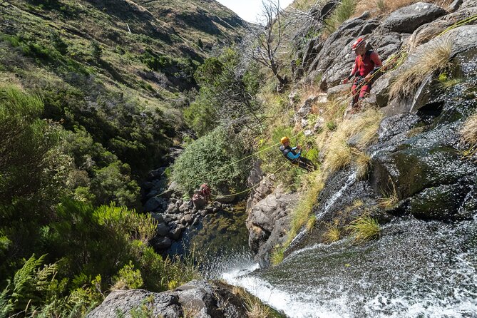 Canyoning in Madeira: Ideal for Beginners and Families - Why this Madeira canyoning trip works for beginners