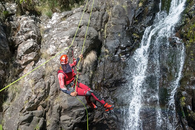 Canyoning in Madeira: Ideal for Beginners and Families - Is the $80.45 price good value?