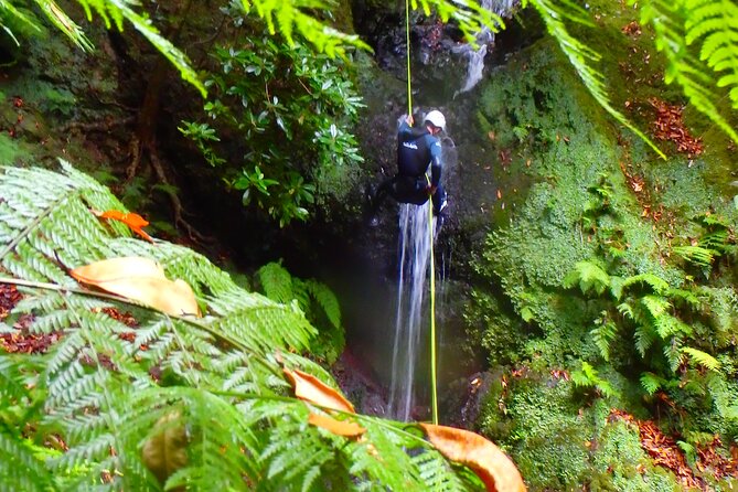 Canyoning Madeira Island - Level One - Why the guide team matters