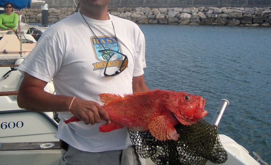 Cascais Deep-Sea Fishing Trip - Booking details worth knowing