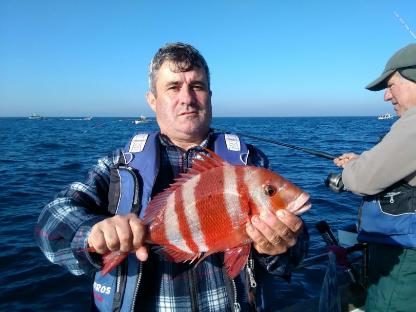Cascais Deep-Sea Fishing Trip - What you might catch off Cascais