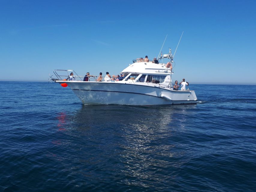 Cascais Deep-Sea Fishing Trip - Sea conditions and motion sickness