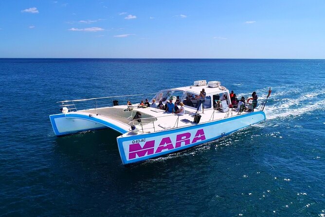 Catamaran Cruise: Caves and Coastline to Benagil - Weather, waves, and sea sickness