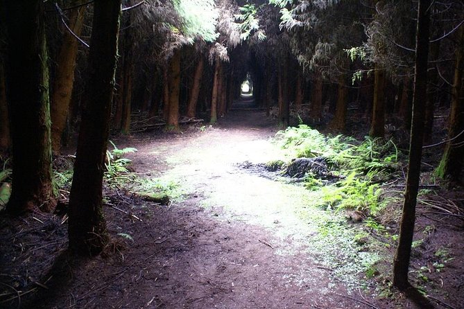 Cave Tour in Terceira - Who should book this afternoon?