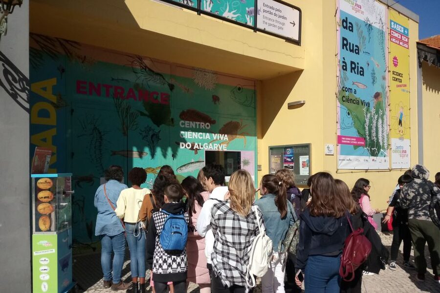 CCVAlgarve Individual Ticket - How long should you allow?