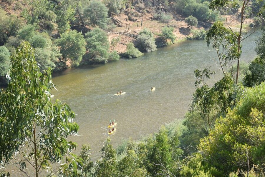 Coimbra: Mondego River Kayaking Tour - What the last stretch feels like